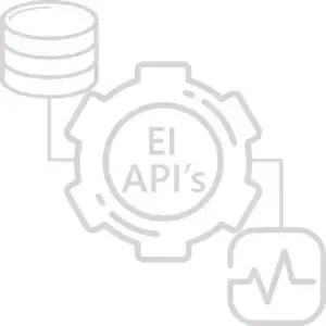 ei-api_01