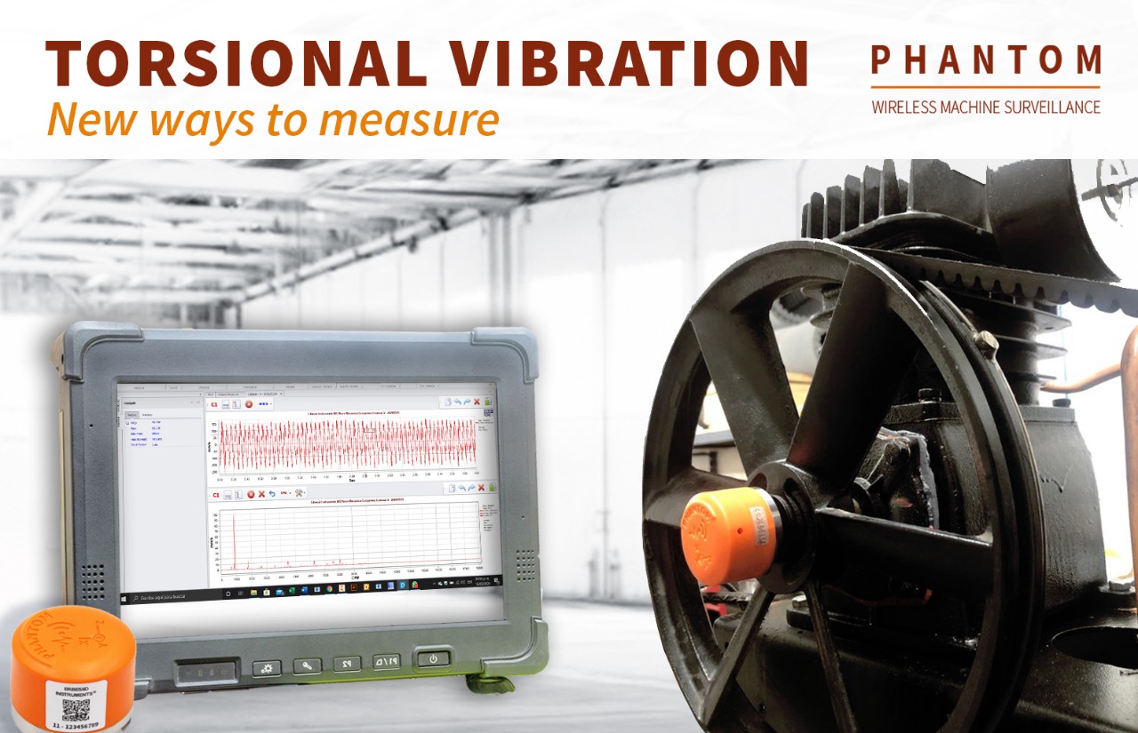 Torsional Vibrations