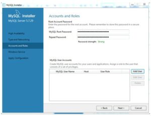 MySQL Server Installation – ERBESSD INSTRUMENTS