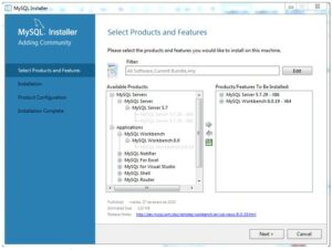 MySQL Server Installation – ERBESSD INSTRUMENTS